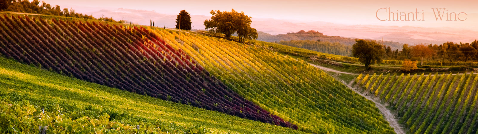 Agritourismus Chianti Wein