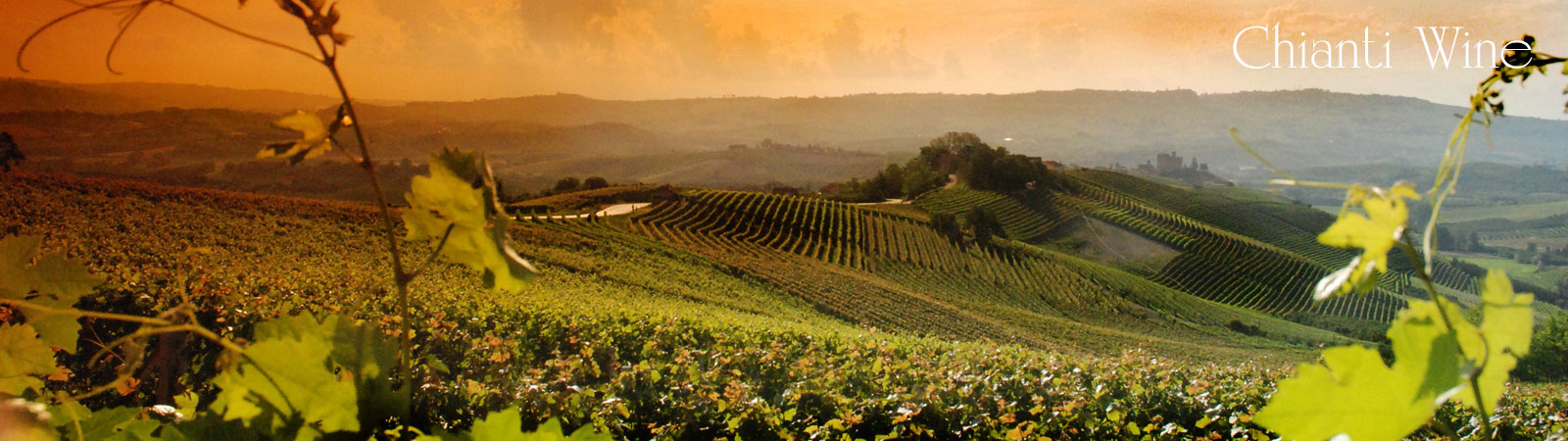 Agritourismus Chianti Wein